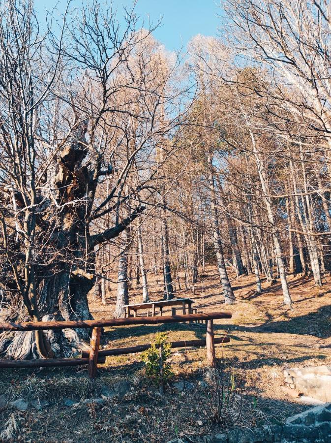 Agriturismo Il Fosso Cutigliano Bagian luar foto